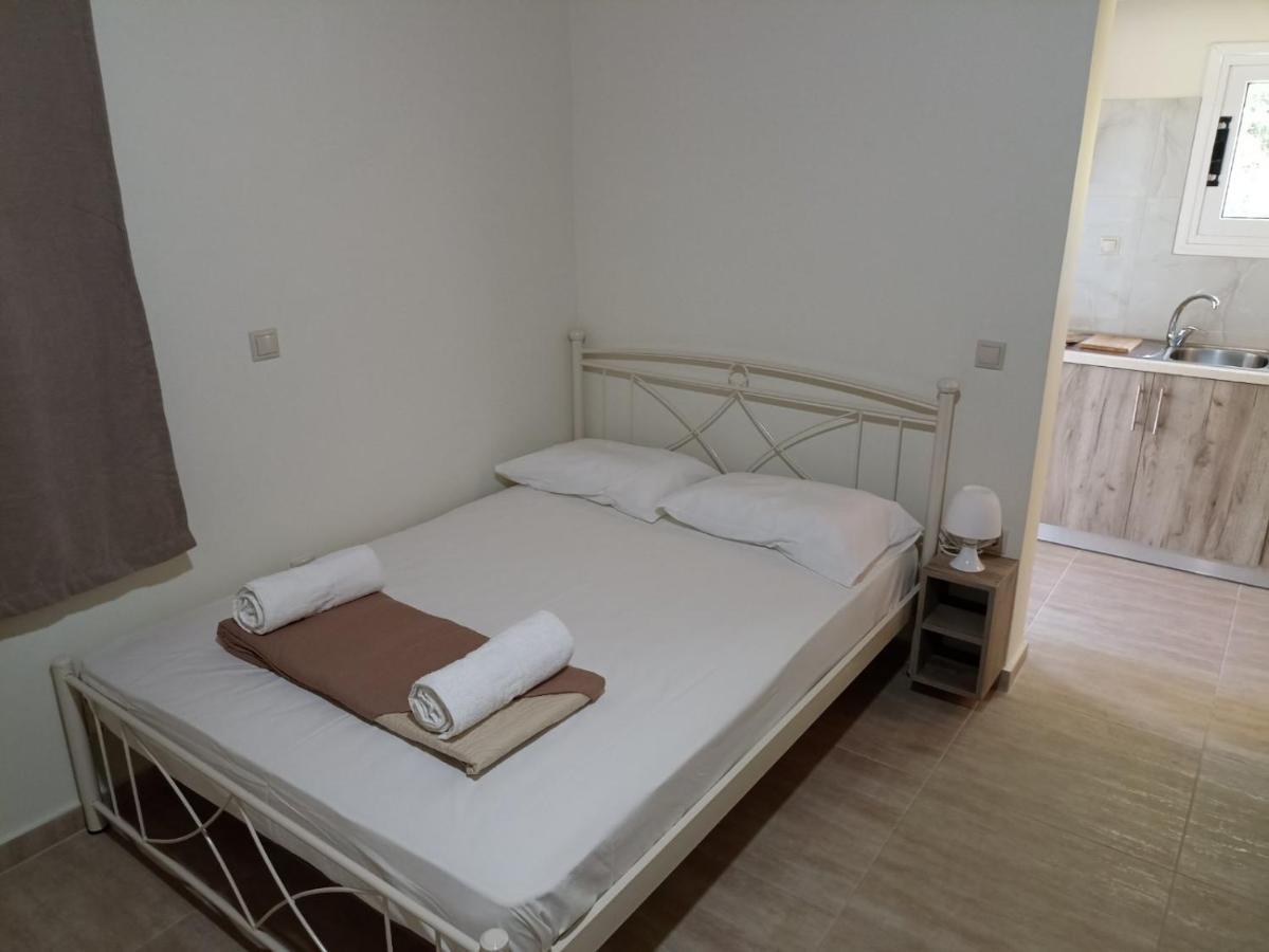 Palm-tree Apartment Arkoudi